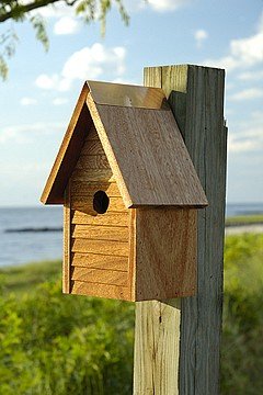 Starter Home Birdhouse