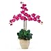 New Nearly Natural Triple Stem Phalaenopsis Silk Orchid Flower Arrangement Charming Realistic Beauty