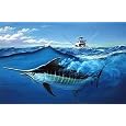 A Deep Sea Fishing Adventure by Dan The Fisherman
