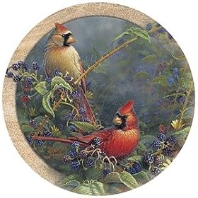 Set of Four Cardinal Pair Coasters - Style TSSM1 by Thirstystone
