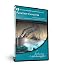 Planetary Cataclysm DVD