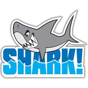 Funny Shark Sticker on Shark Teeth Funny Cool Car Bumper Sticker Decal 4  X 5    Amazon Com