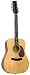 JB Player - 12 String Acoustic Guitar