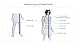Salwar Kameez Stitching Option