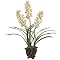 Cymbidium Orchid Cluster - White(24 x 22 x 29")