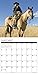 2016 Cowgirls Wall Calendar