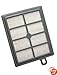 Genuine Electrolux Anti-Odor HEPA Filter EL020