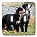 Dogs Bernese Mountain Dog - Bernese Mountain Dog - Light Switch Covers - double toggle switch