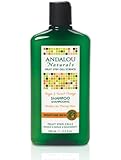 Andalou Naturals Moisture Rich Shampoo, Argan and Sweet Orange, 11.5 Ounce