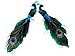 Set of 2 Regal Peacock Colorful Closed-Tail Bird Christmas Ornaments 8