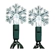 LED Holiday Light String Set, White Snowflake 50 LED Light Bulbs, Energy Efficient 4.6 Watts Total