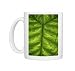 Photo Mugs of Colocasia indica leaf from Science Photo Library