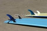Wallmonkeys Peel and Stick Wall Decals - Surfboards - Removable Graphic