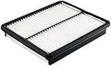 FRAM CA10881 Panel Air Filter