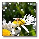 ladybug and daisy - 10x10 Wall Clock