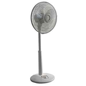 Sunpentown SF-1467 14 in. Oscillating Standing Fan Sunpentown SF-1467 14 in. Oscillating Standing Fan