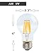 SUNMEG A19 6W LED Filament Light Bulb Dimmable, Replacement to 60w Incandescent Bulbs, 600 Lumens, E26 Medium Base, Warm White (2700K), 120VAC, (1- Pack)