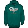 Miami Dolphins Aqua Critical Victory Hoody Sweatshirt