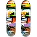 Binary Skatebord Deck 2 Pack w/Grip
