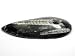Polished Orthoceras Fossil Large Paleontology Specimen