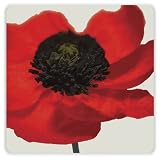 picture of I Style My Home Poppy Coasters
