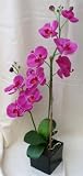 Produkt-Bild: artfleur Phalaenopsis Orchidee pink H: 70 cm