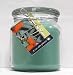 Hand Made Scented Soy 16oz Classic Jar Candle - Eucalyptus