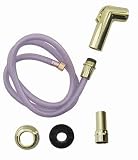 ACE TRADING - GLOBE DESIGNER P0001YP REPLACEMENT SPRAY PVD FINSH