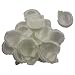 2000pc Ivory Silk Rose Petals Wedding Flowers Favor