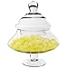 Apothecary Jar Large Candy Buffet Jar with Lid, H-10