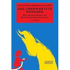 Das Unerwartete managen: Wie Unternehmen aus Extremsituationen lernen