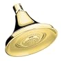 KOHLER K-10284-PB Forte Multifunction Showerhead, Vibrant Polished Brass