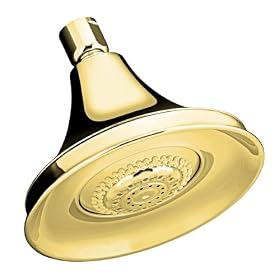 KOHLER K-10284-PB Forte Multifunction Showerhead, Vibrant Polished Brass