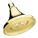 KOHLER K-10284-PB Forte Multifunction Showerhead, Vibrant Polished Brass