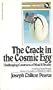 The Crack In the Cosmic Egg