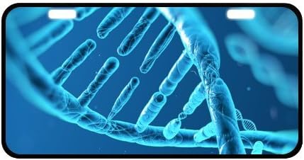 DNA License Plate with Durability and Strength -11.8" X 6.1" inches-Black Trim