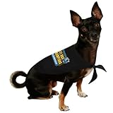 Dallas Mavericks 2011 NBA Champions Pet Bandana (Medium/Large)