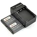 DSTE 2x Full Coded NP-FR1 NPFR1 Li-ion Battery + DC02 Charger for Sony Cyber-shot DSC-F88 DSC-G1 DSC-P100 DSC-P100/L DSC-P100PP DSC-P100/LJ DSC-P100/R DSC-P100/S DSLR Cameras