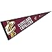 Cleveland Cavaliers Pennant Full Size 12 in X 30 in