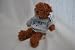 TAMPA BAY RAYS OFFICIAL LOGO 8IN HOODIE TEDDY BEAR