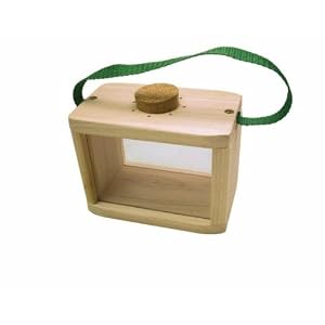 Kids Toy Chest in Natural