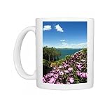 Lake of Bolsena, view from Capodimonte, Viterbo, Lazio, Italy, Europe Photo Mugs