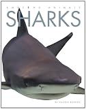 Amazing Animals: Sharks