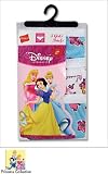 Disney Princess Girls Underwear Panty By Hanes (2-3T)