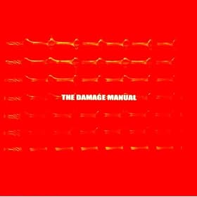 The Damage Manual