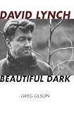 David Lynch: Beautiful Dark (The Scarecrow Filmmakers Series)