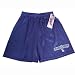 MLB Los Angeles Dodgers Authentic Collection Mesh Shorts