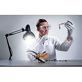 Hercules Beetle 3-D Anatomic Model Puzzle