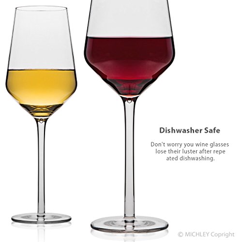 MICHLEY Unbreakable Wine Glasses, 100 Tritan Shatterproof Wine Glasses, BPAfree, Dishwasher