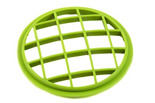 Jarware Flower Frog, Green